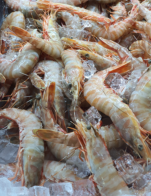 نقش متابی سولفیت سدیم در فرآوری میگو 